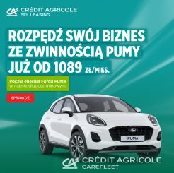 Ford Puma 1.0 ECOBOOST HYBRID 125KM POWERDHIFT A7 TITANIUM 5 DT